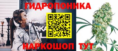 шишки Рязань