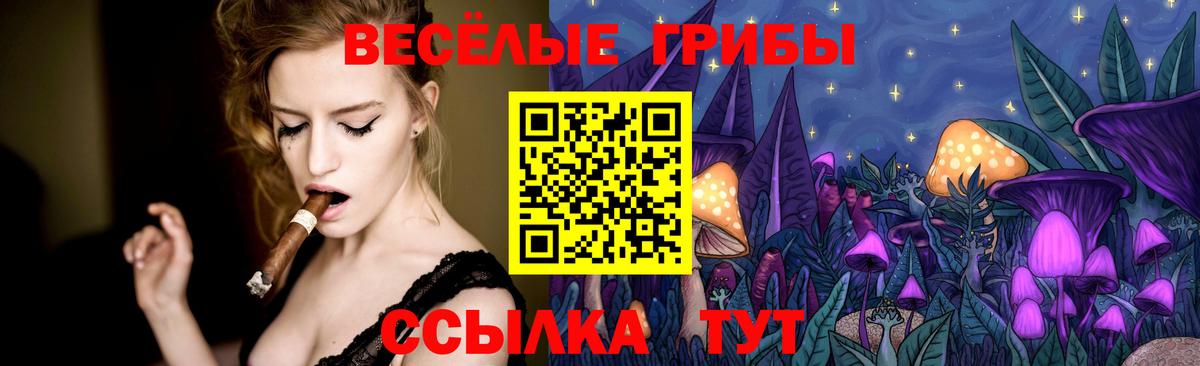 Галлюциногенные грибы Psilocybine cubensis Серов